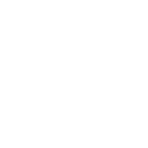 Government
